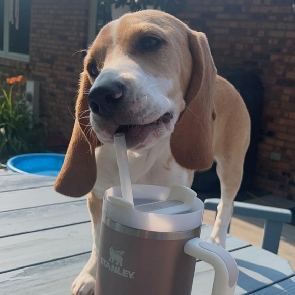 Why Shop Here? - Picture 2 of 11